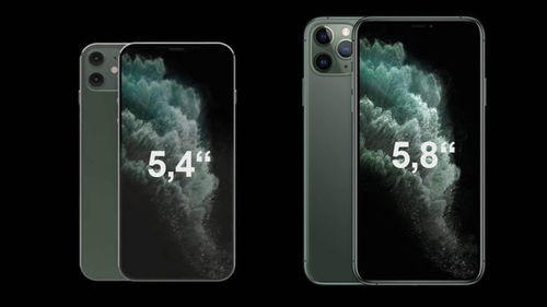 苹果新机被命名为iPhone12 mini 消息总是可靠性高(苹果新机被命名为iPhone12mini)