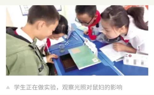 虫子快跑啊! 昆明9万初一学生 盯上了.