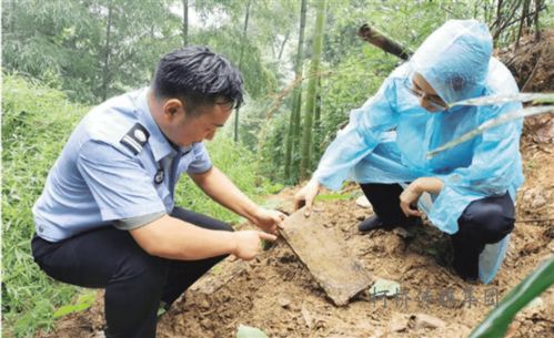 浙江查获特大盗墓团伙:盗墓者偷了1万多块墓砖做砚台出售(浙江查获特大盗墓团伙 视频)
