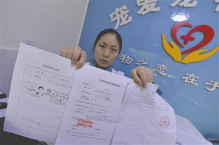 24岁女孩被父亲追踪到6(24岁女孩带着父亲去旅游)