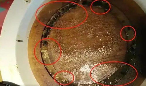 豪客来被曝吃虫 台州吃牛排吃活蛆