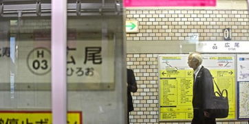 日本65岁以上老年人数创历史新高(日本65岁以上老人比例)