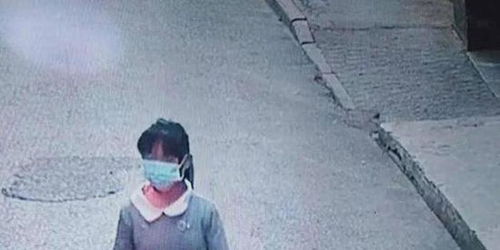 武汉14岁女孩离家出走 警方:必要时将采取技术手段寻找(武汉13岁女孩)