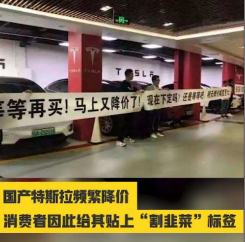 特斯拉大中华区负责人朱晓彤介意标签(特斯拉大中华区总裁)