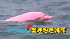 北京动物园回应北青(北苑到北京动物园坐地铁)