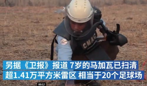 巨型老鼠在柬埔寨发现大量地雷(柬埔寨老鼠粉)