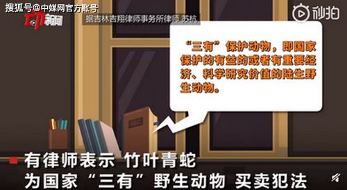 毒蛇通过网络渠道流通 13岁男孩买条竹叶青被咬伤 住了7天