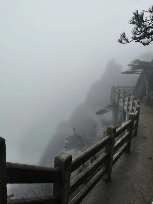 安徽黄山游客爬上黄山风景区中途,不断遭遇强风大雨