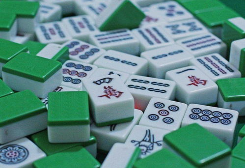 你会用手和脚打麻将吗?网友:这个麻将很费力!