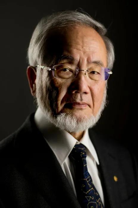 2020年诺贝尔生理学或医学奖评选结果公布(2020年诺贝尔奖)