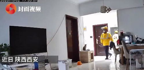 西安一男子国庆出游,雇跑腿小哥遛狗(西安国庆可以出省吗)