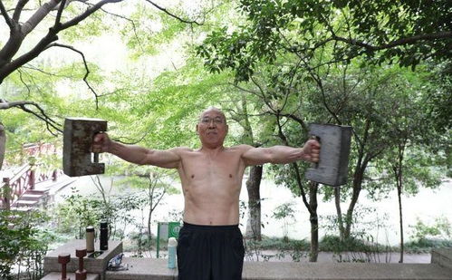 公园健身角卧虎藏龙,厉害!(公园健身角卧虎藏龙)