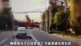重庆大叔因恐高报警求助:我慌了 能帮我开下去吗?