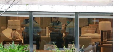 香港美心集团的女婿坠楼身亡(香港美心集团旗下品牌)