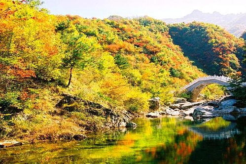 河南洛阳无人值守一元午餐继续在老君山风景区工作(河南洛阳无人值守一元午餐结账多出458元引关注)