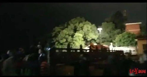 四川隆昌一农家乐房屋倒塌 伤者被送往医院治疗(隆昌农家乐比较好的)