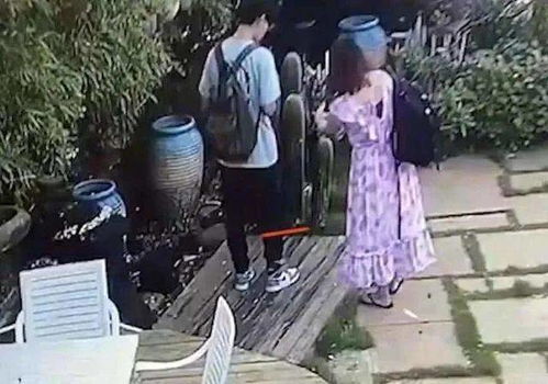 年轻人多次尝试踢景区景观仙人掌(年轻人应该尝试什么工作)
