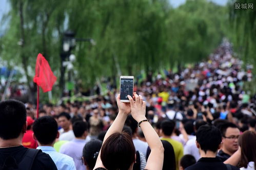 全国接待国内游客4208.9万人次 同比恢复82(上半年北京市接待国内游客1.14)