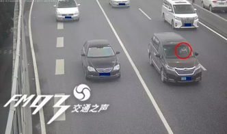江西男子高速开车撞异物,壮着胆子下车一看吓得报警(男子喝酒开车上高速了)