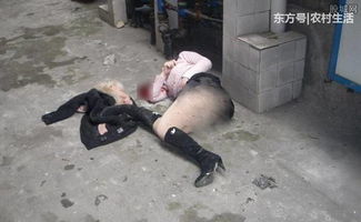 湖北大学生在江苏大学校园内坠楼身亡:排除他杀 珍惜!(江苏大学生医保)