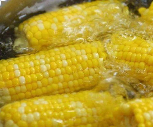 小偷连续三晚偷玉米粒,一捧硬捧1200多斤(小偷会连续偷同一家吗)