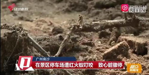 江女士在广州 因为不小心 去鬼门关走了一会儿