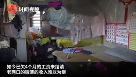 沈阳一女大学生上学期间未婚生子 托人抚养一年后发生的事情让大(女大学生一周运动计划)