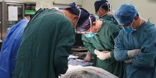 24岁的研究生去世捐献器官(24岁是研究生吗)