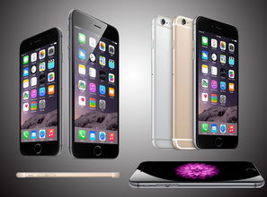 iPhone 12屏幕更换费用公布,网友:碎不起!
