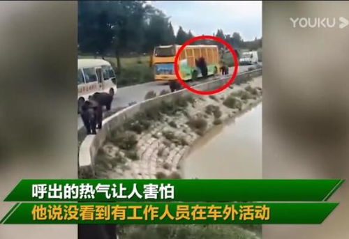 饲养员被熊攻击死亡,现场疑似曝光 公园正在进行事件调查(大熊猫会攻击饲养员吗)