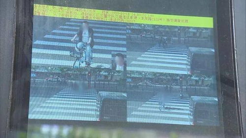 中山南二路双峰路口东约5米处 未按人行横道信号灯通行(中山南二路双峰路到滴水湖)