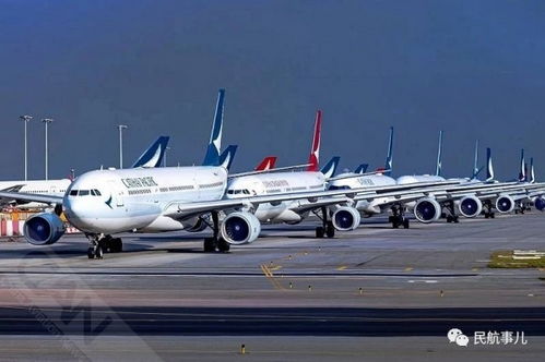 国泰航空拟裁员8500人 包括5300名驻港员工