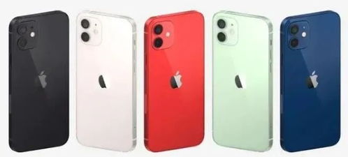 为什么要人涨价3000买一手?网友:有钱人吃几千,你吃20个(猫为什么要人摸)