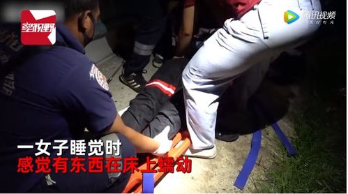山东一女人半夜睡着了,被被子里的异响惊醒,当场剪开吓坏了(女人睡到半夜老是醒)