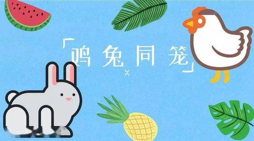 3岁的萌娃很容易解决经典问题鸡兔同笼奥数题 解题思路让人感叹(其实带娃很容易)