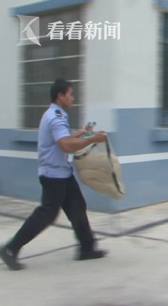 宾阳一汽车城外绿化带发现金蛇蠕动 要求报警