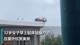 女人起床,去窗外拍风景 拉近镜头后,我不敢相信我的眼睛(窗外一直有个红衣女人)