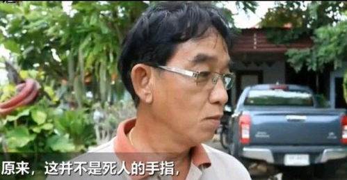 仙人掌成精野蛮长到三层楼高,顶部长出一件惊人的东西