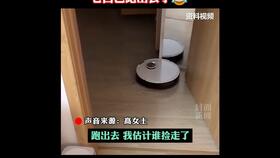 南京女鞋带被同伴推下水库 混乱中双双落水