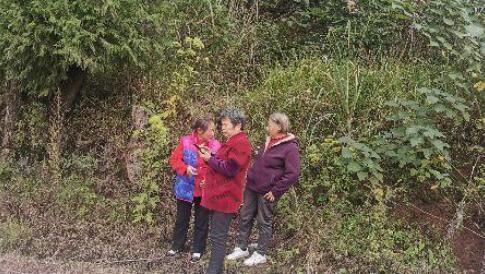 男老师爷爷在坟前上吊 曾称多年前爷爷自缢身亡