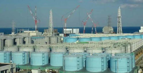 日本福岛100万吨核污水将排入太平洋?绿色和平警告:污染水可(日本福岛白桃)