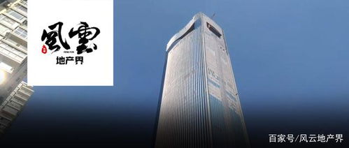 厦门国际中心和副塔楼厦门宝嘉中心资产起拍价29(厦门厦昌国际中心)