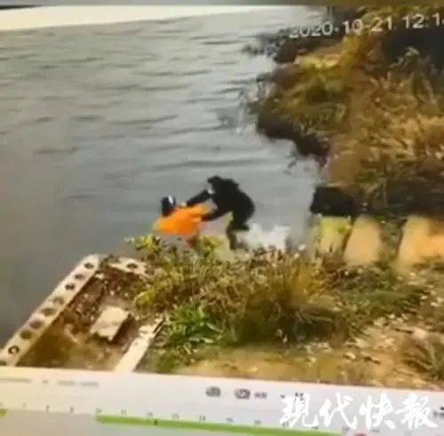 为什么史突然把母亲推下水?两人一起落水后(母猫为什么突然叫)