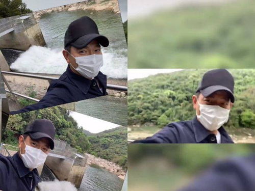 重庆一乡镇干部发现两只黑熊下山觅食