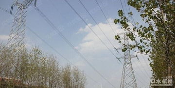 重庆一乡镇干部路过树林遇罕见景象 吓得跑了