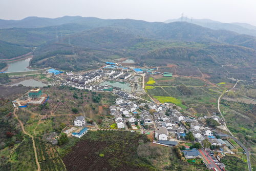 南京无想山水库一中年妇女被淹死 警方表示只有在法院开庭后才能(南京金龙山水库)