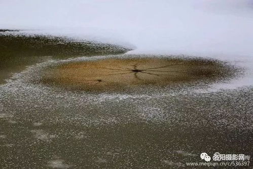 湖面冰下有黑影游动,男子好奇地走近,突然冰面开裂,蹦出神秘的(湖面冰下有黑影游动 小伙好奇靠近冰面突然裂开)