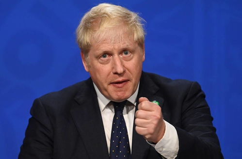 英国首相鲍里斯约翰逊诉讼 政府未能调查俄罗斯是否干涉2016(英国首相鲍里斯约翰逊小猪佩奇)