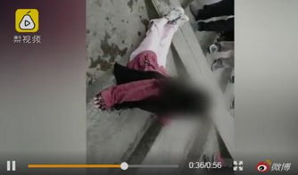 因家庭矛盾 20岁的女儿想不起跳河自杀 兄弟、母亲和父亲跳河