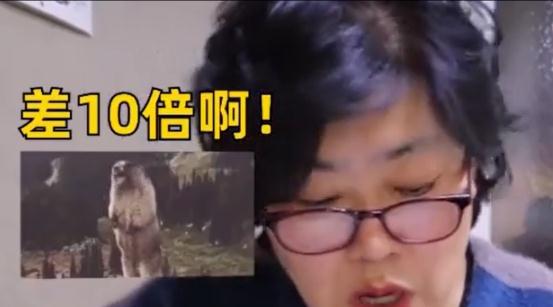 韩国阿姨吐槽白菜比中国贵10倍:想从中国买菜送到韩国(韩国大妈吐槽白菜贵)
